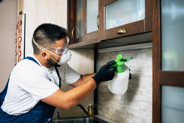 Best Pest Removal Services  in Cedarburg, WI