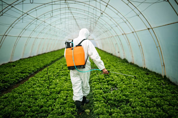 Best Pest Removal Services  in Cedarburg, WI
