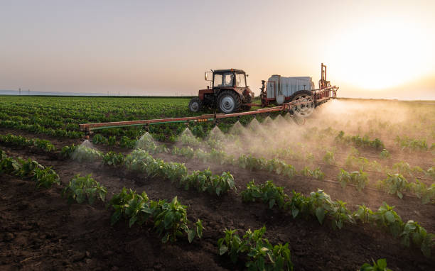 Best Pest Control Treatment  in Cedarburg, WI