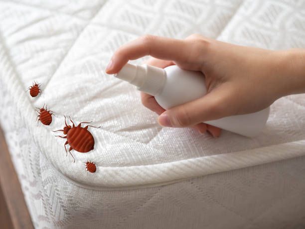 Best Exterminator Services  in Cedarburg, WI