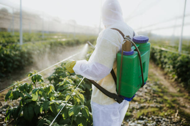 Best Bed Bug Extermination  in Cedarburg, WI